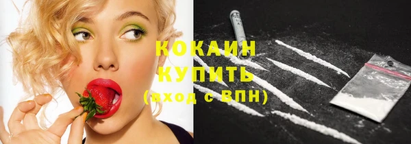 прущая мука Каменка