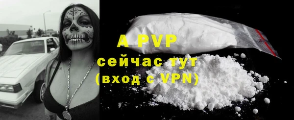 прущая мука Каменка