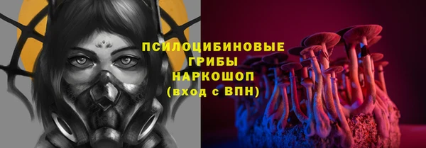 прущая мука Каменка