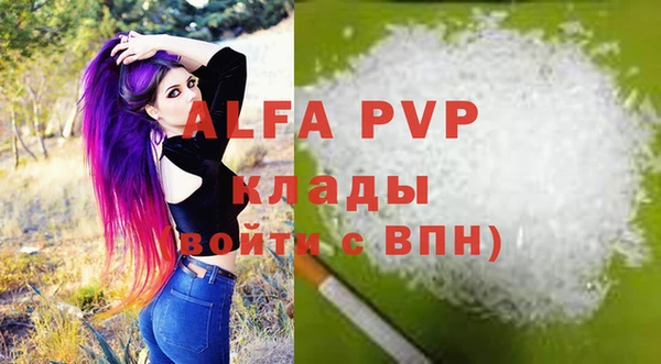 стаф Каменск-Шахтинский